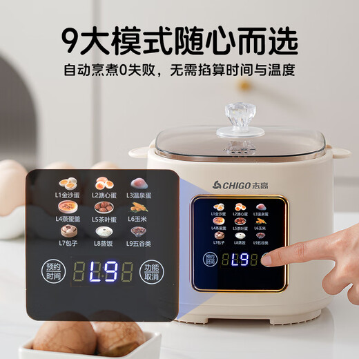 志高2025新款煮蛋器蒸蛋器多功能自动断电家用小型煮鸡蛋早餐神器蒸煮一体机预约定时七夕礼物 双层 彩屏款【无蒸碗】