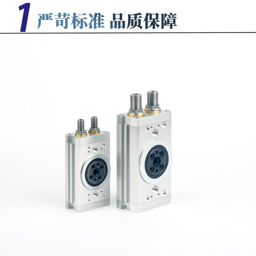 FESTO Festo rotary swing cylinder DRRD8-16-12-20-35-32-25-180-FH-PA-Y9A DRRD-25-180-FH-PA 13596