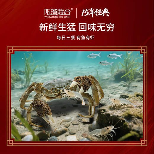 【礼券】阳澄联合大闸蟹礼券蟹卡螃蟹券礼品卡礼盒海鲜水产 9855型公6.0两 母5.0两 5对10只