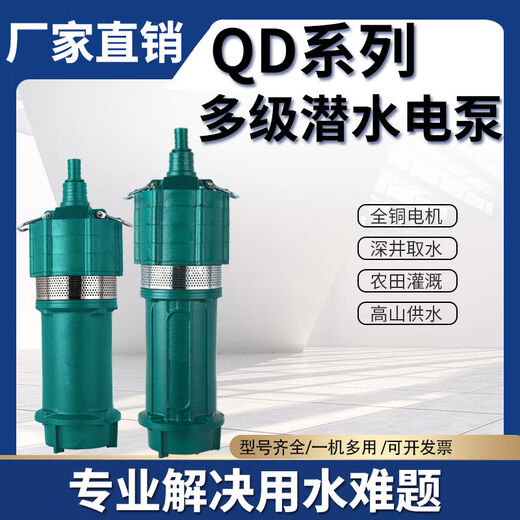 Shantoulin Village Submersible Pump 220V Little Mouse Agricultural Irrigation Project Precipitation Multi-stage Pump 380V High-Head Construction Site High Power 15864kw Single-Phase Submersible Pump 15 tons 8 meters