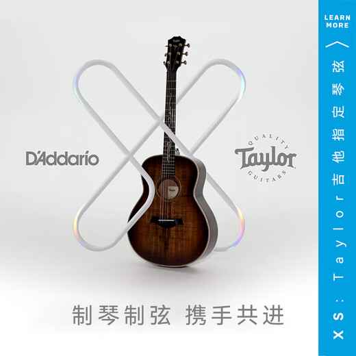D'Addario XS beschichtete Folk -Gitarrenschnüre, ein Satz Phosphor- und Bronze -Saiten, das offizielle Flaggschiff der neuen Gitarren -Saiten XSABR1047 (Messing extra fein und weicher Stil)