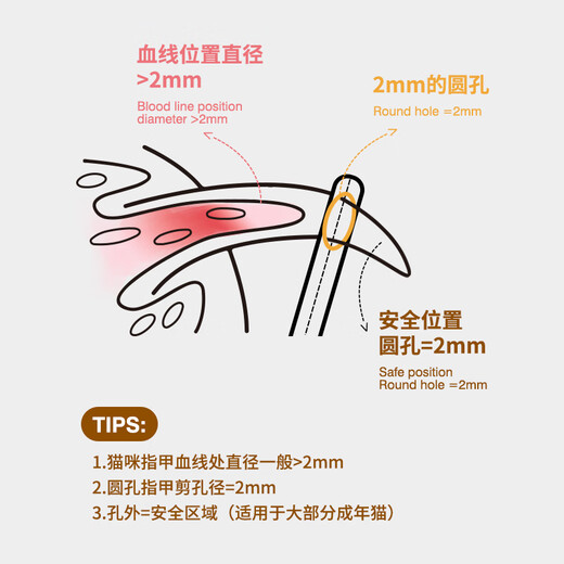 JCZS German brand cat nail clipper does not hurt the blood line, round hole positioning, cat nail clipper, special novice nail clipper, LED light model Taoyao powder