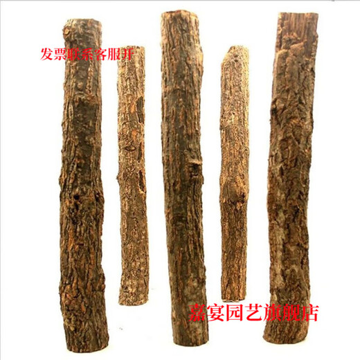 Champagne trunk underwater forest ornaments decoration pure natural water and land tank rainforest tank landscaping climbing pet turtle sun terrace 2-4 cm in diameter and 20 cm in length one piece