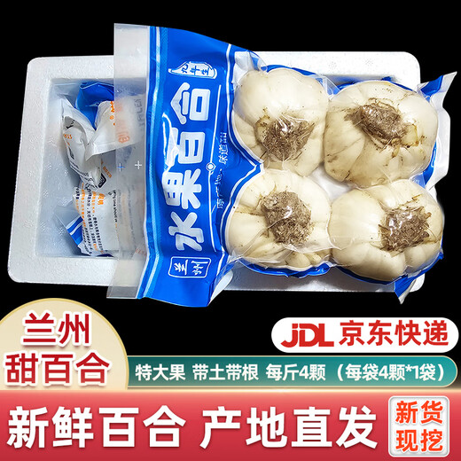 Jingxian Raw Lanzhou Fresh Lily Sweet Lily Total 1Jin Jin is equal to 0.5kg 1 bag of 4 fruits (single fruit is about 125g) fresh vegetables straight from the source