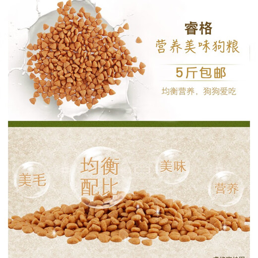 Ruige dog food universal large, medium and small puppies, adult dogs, golden retriever, Teddy, Samoyed, 40, Border Collie, 10, Bichon Frize, beef flavor