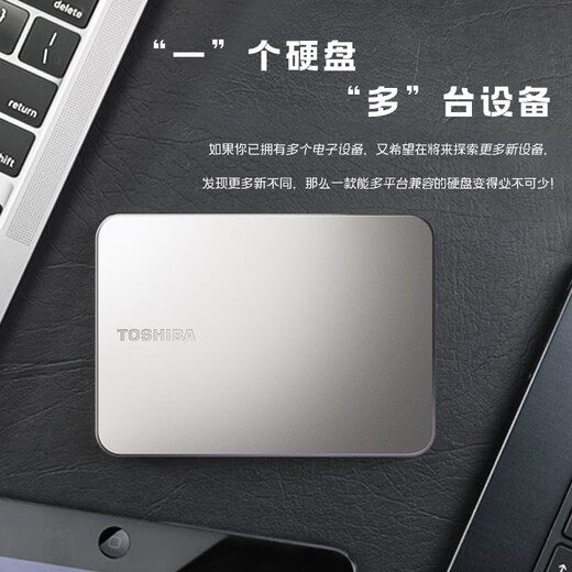 东芝（TOSHIBA）Mac 移动硬盘1t 2t 4t flex 适用Macbookpro 非固态 2TB 接安卓机：航空包+硅胶套+原装线+Typec直连线