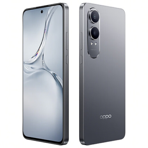 OPPO K12 plus 6400mah großer Akku, Snapdragon 7-Flaggschiff-Kern der dritten Generation, 120-Hz-Augenschutz 5G Gerade Bildschirm-Mobiltelefon, OPPOK12-Serie, Titanium Sky Gray [K12X Snapdragon 695] 8 GB+256 GB