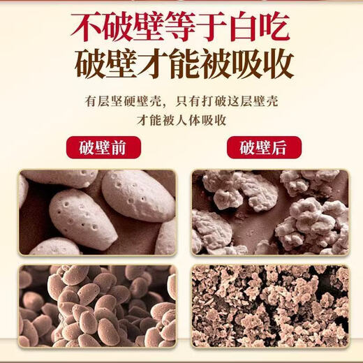 Yiniankang Blue Hat Certified Breaking Wall Ganoderma Spore Pulver Authentisch Changbai Mountain Red Ganoderma Spore Pulver verbessert die Immunität 2 Dosen 500 g