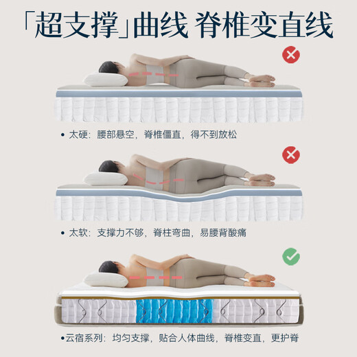 林芃家品林芃云宿弹簧床垫席梦思乳胶护脊天然椰棕硬垫厚1.8x2米国家补贴 A实用之选 适中偏硬静音护脊20cm 1350mm*2000mm