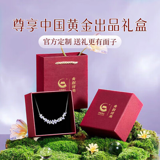 Central Chuang Fashion Chinese Gold and Silver Necklace Girls Clavicle Chain High-end Birthday Gift for Lady Girlfriend Girlfriend Best Friend S925