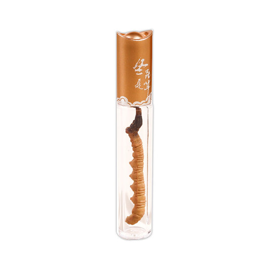 Cordyceps sinensis, Cordyceps sinensis, fresh soaked wine and soup ingredients for the elderly, Cordyceps sinensis, 1 root