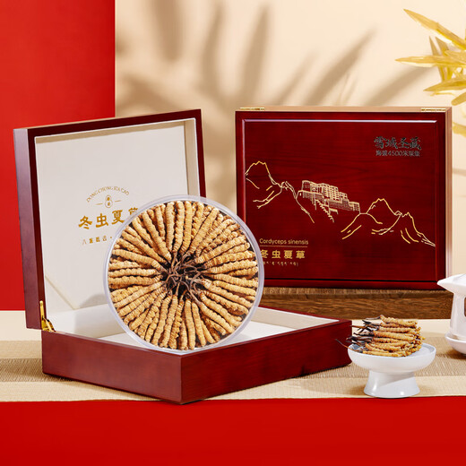 藏汐堂冬虫夏草 高海拔新干虫草礼盒装干货冬虫草头期 3根/克 15克 共45根【日常滋补】