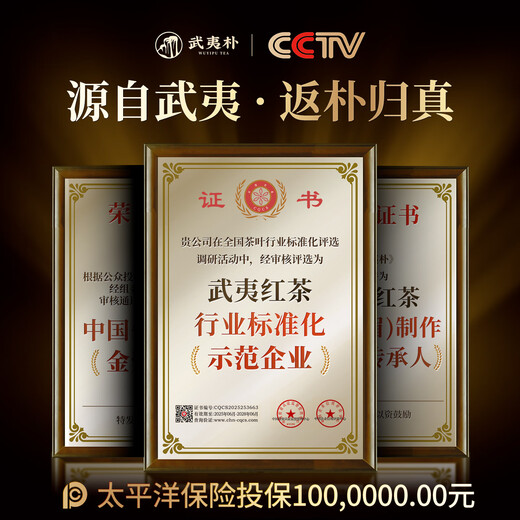 武夷朴大红袍武夷山岩茶乌龙茶茶叶礼盒装特级204g新茶高端节日礼品送礼