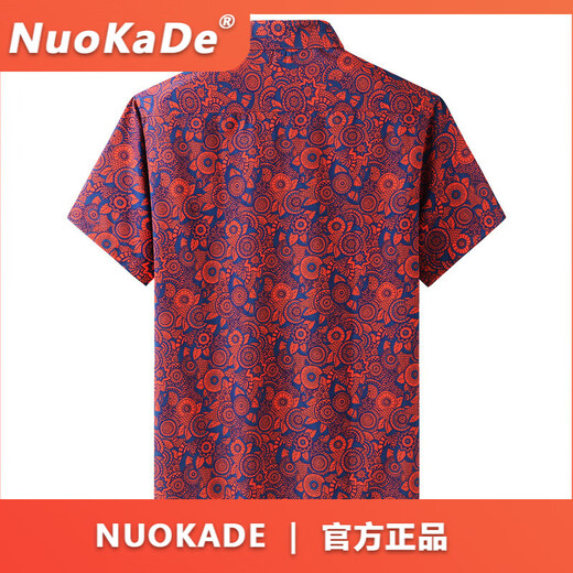 FDRENU欧美大码男装短袖衬衫男潮胖子休闲薄款冰丝花衬衣夏 9207白色 L 175_【120-140斤】