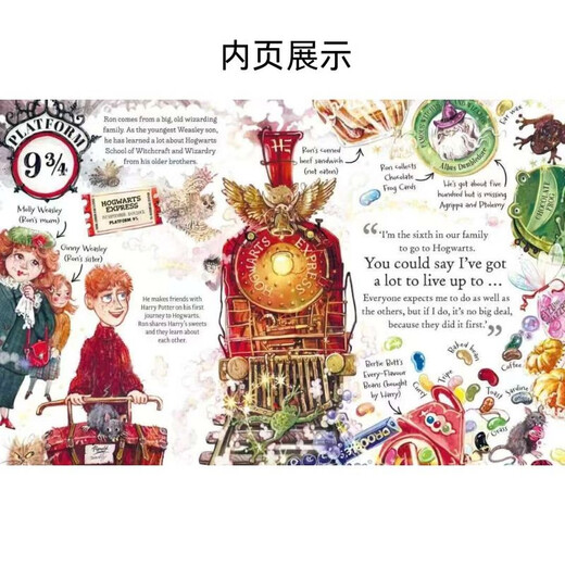 哈利波特故事迷你指南（口袋书）：罗恩·韦斯莱 PocketPotters JK罗琳 哈利波特人物指南 Harry Potter  进口原版 英文书