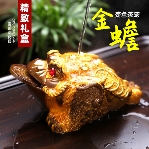 Golden toad tea pet ornaments, high-quality color-changing tea accessories, tea table, tea tray, tea play, golden cicada, lucky tea table toad, medium golden toad