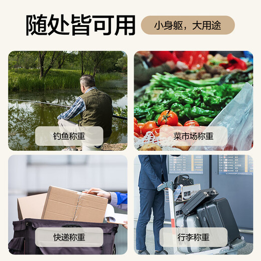 Xiangshan tragbare Skala Handskala, Gram-Skala, Gemüse-Express-Kranskala, Hochvorpreisgepäckskala, 50 kg Lademodell