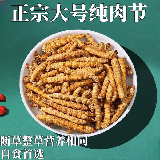 冬虫夏草大断草纯肉节实惠正宗大断草50克礼盒装送礼自用 西藏那曲正宗精品整肉节100克装
