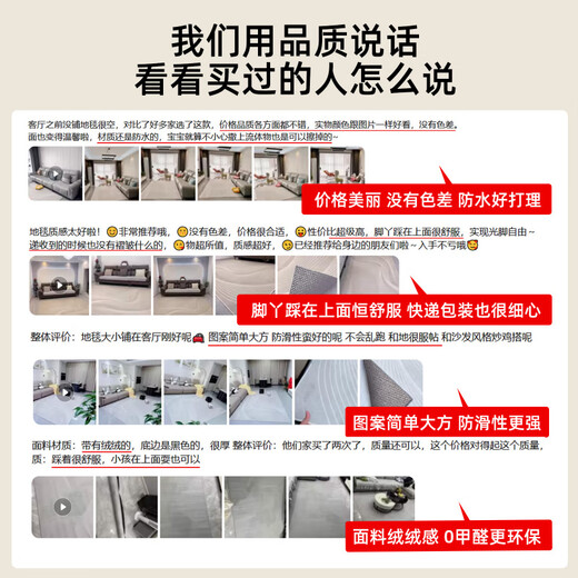 宜·家品牌同款客厅地毯轻奢感2024新款防水免洗沙发茶几地垫家用 拾温-15937 300cm*400cm 【适合U型沙发】