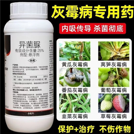 Special medicine for gray mold, iprodione fungicide, epidemic disease, cucumber, leek, tomato, strawberry, grape, fruit tree, gray mold pesticide 1000g