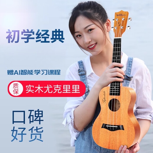 骊歌德国尤克里里乌克丽丽初学者儿童23寸入门迷你小吉他男女学生 23寸 原木色