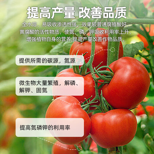 Haifa Kalif root rot package root rot mineral source potassium fulvic acid Bacillus subtilis Trichoderma harzianum humic sterilization