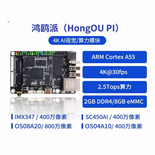 Hongoupai HI3519DV500 Sterne Flash Development Board AI Vision 4K Bild IPC -Lösung 2.5t Hongoupai