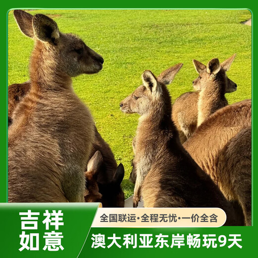 Australia Tourism National Departure Australia Tour with a group tour of Eastern Australia Sydney/Melbourne/Canberra/Albury for 9 days. Australian Tourism Bureau's preferred partner Departure nationwide for Eastern Australia Sydney/Melbourne etc. 9 days