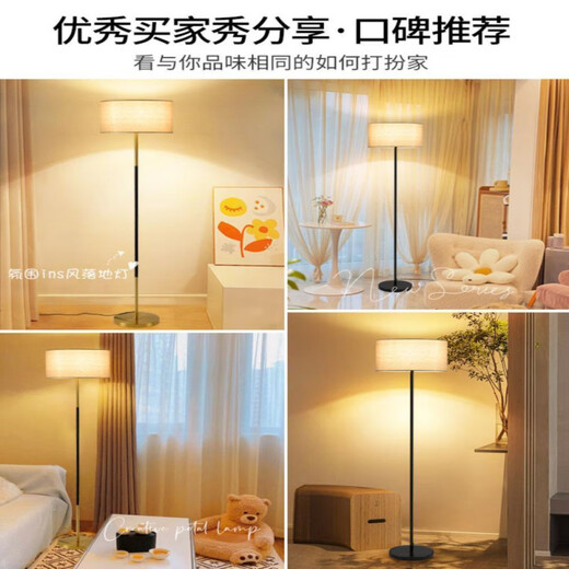花乐集落地灯灯具现代简约客厅卧室立式落地台灯氛围法式风床头灯跨境 1396-黑-无极遥控12W三色