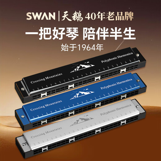 天鹅（SWAN）24孔复音口琴初学者入门学生专业演奏口琴C调（红色）