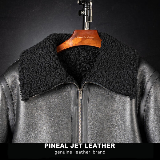PJL new men's short fashion casual genuine leather fur one-piece wool lapel sheepskin leather jacket black M (130Jin Jin is equal to less than 0.5kg)