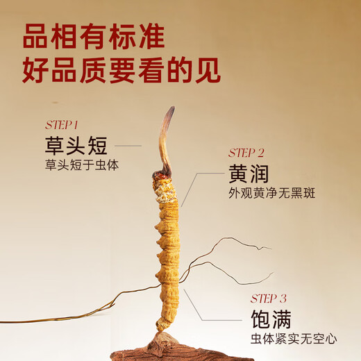 Ayishe Cordyceps sinensis about 3-4 roots/g 20 roots about 5 grams Cordyceps gift box Cordyceps gift nutritional products