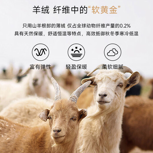 Shanshan pure cashmere cashmere sweater men's autumn and winter warm business casual V-neck bottoming knitted sweater men's clothing