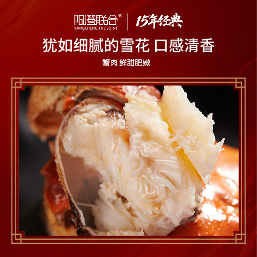 【礼券】阳澄联合大闸蟹礼券蟹卡螃蟹券礼品卡礼盒海鲜水产 9855型公6.0两 母5.0两 5对10只