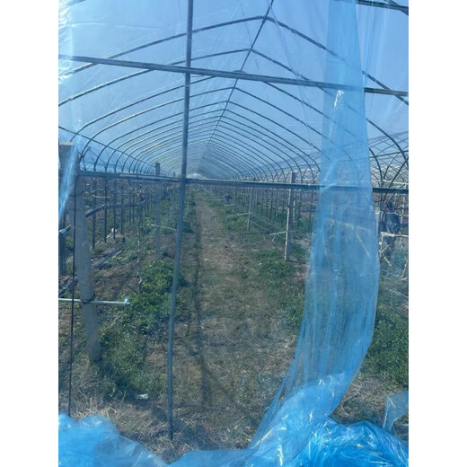 Greenhouse plastic film, non-drip film, agricultural greenhouse film, PO film, vegetable planting, anti-fog, high light transmittance, anti-aging, longevity film, blue film 10S imported longevity film, thickened, 4m wide, how many meters long, take a few pieces, send the whole picture