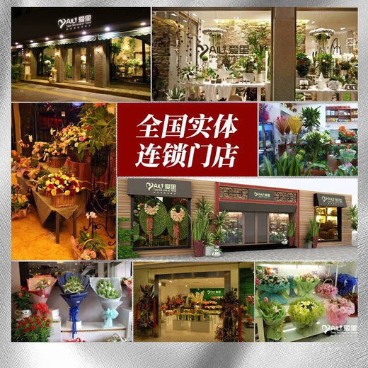 Flower Xitian Nationwide Sunflowers, Carnations, Roses, Hug Bucket Bouquet Delivery, Housewarming, Birthday, College Entrance Examination Flowers, Hourly Delivery, Housewarming New Home Flowers, Hug Bucket