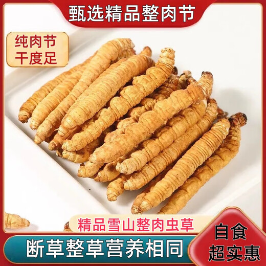Cordyceps Sinensis Big Broken Grass Pure Festival Festival de viande abordable Authentique Big Broken Grass 50G Boîte cadeau pour un cadeau pour votre propre usage. Festival authentique de la viande fine à Nagqu, Tibet 10G