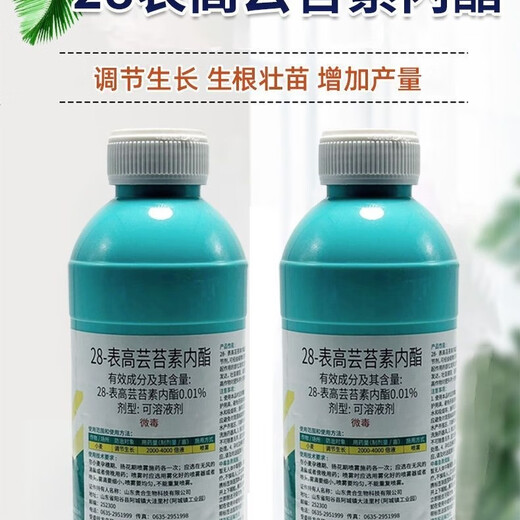 28 high brassinolide plant growth regulator 1000g*1 bottle