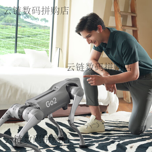 Yushu Voice AI Модельный робот Dog Electronic Dog Compodied Intelligence Accompanent Bionic Companion Robot Four GO2-воздух+ пульт дистанционного управления