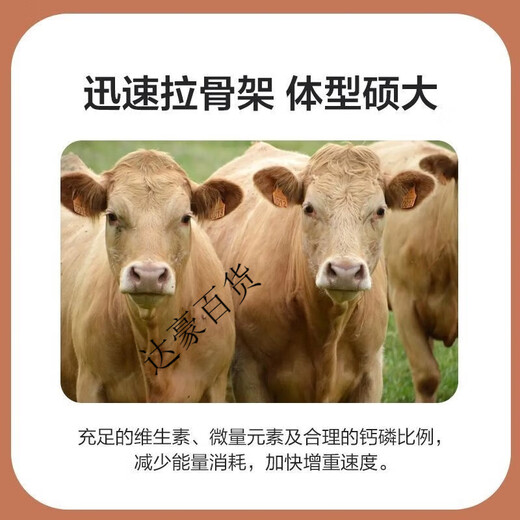 Zhengda Huadong 4 beef cattle premixed calf fattening cattle feed rapid fattening and weight gain without pulling the frame