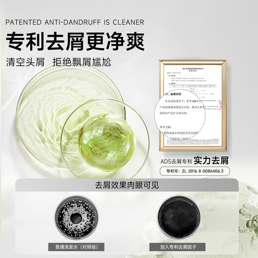 弹动【范丞丞同款】人参洗发水控油防断发去屑修护舒缓头皮温和洗头膏