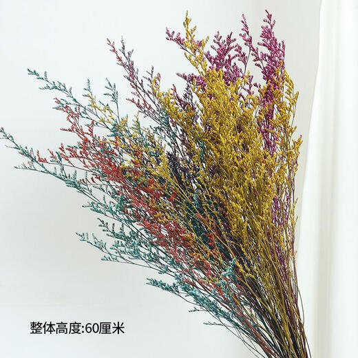 Lover's grass dried flower bouquet living room decoration aromatherapy Yunnan natural air-dried high-end real flowers dried flowers immortalized flowers immortal 6 colors mixed lover's grass 1 bouquet 55-60cm