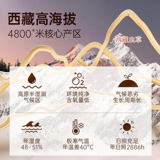 阿依舍 【西藏那曲】正宗野生冬虫夏草新干虫草高端滋补礼盒节日送礼 【精选西藏野生】5根/克 20根礼盒装