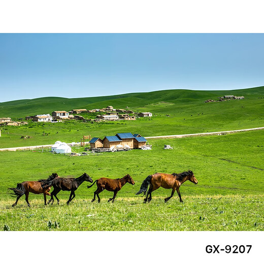 农村风景直播背景布3d立体直播背景墙图可移动网红主播背景布挂布 gx-9207加厚无纺布宽2.2*高1.8m