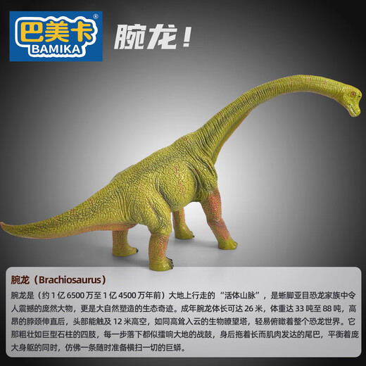 Bameka Brachiosaurus Grande collection de dinosaures solide modèle de jouet simulation Jurassic Animaux hommes et femmes cadeaux d'anniversaire enfants