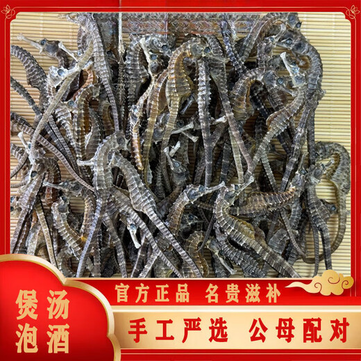 北京同仁堂足干正宗海马干货非中药材一对滋补泡酒配对煲汤公母非野肾阳高 5对装[9-11厘米]送6只特小海马