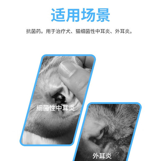 BethBeijing Florfenicol Metronidazole ear drops ear mite medicine ear cleaning liquid pet ear oil otitis externa ear cleaning liquid