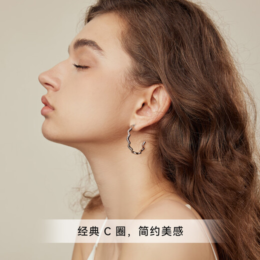 Arsis Streamer Series Sparkling Earrings Women's Earrings Fashion Jewelry 925 Silver Needle as a Birthday Gift for My Girlfriend