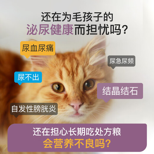Ai Style DiamondCare Diamond Care Cat Food Urinary Prescription Food Adult Cat Food Cat Food Trial 50g*2 Bags Urinary Cat Food Trial 50g*2 Bags 0g