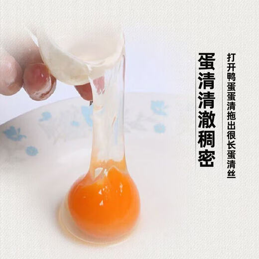 Duck eggs fresh raw duck eggs 50-60g native duck eggs farm-raised free-range white-skinned green-skinned duck eggs whole box wholesale 10 pieces Duck eggs fresh raw duck eggs 50-60g native duck eggs farm-raised free-range white-skinned green-skinned duck eggs whole box wholesale 10 pieces